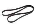 PASEK WIELOROWKOWY 6PK1795