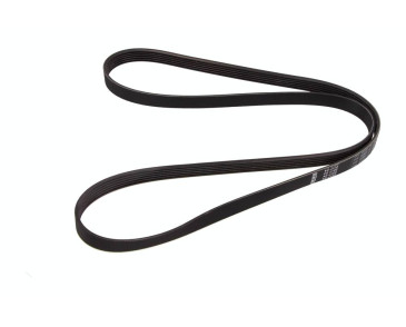 PASEK WIELOROWKOWY 6PK1610