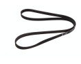 PASEK WIELOROWKOWY 6PK1610