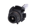 ŻARÓWKA XENONOWA D2R 35W 4300K