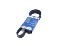 PASEK WIELOROWKOWY 7PK1122