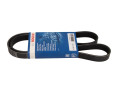 PASEK WIELOROWKOWY 6PK1215