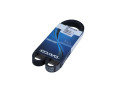 PASEK WIELOROWKOWY 6PK1029 ELAST