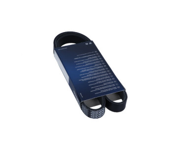 PASEK WIELOROWKOWY 6PK1029 ELAST