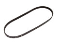 PASEK WIELOROWKOWY 6PK1180