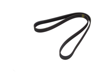 PASEK WIELOROWKOWY 6PK1153