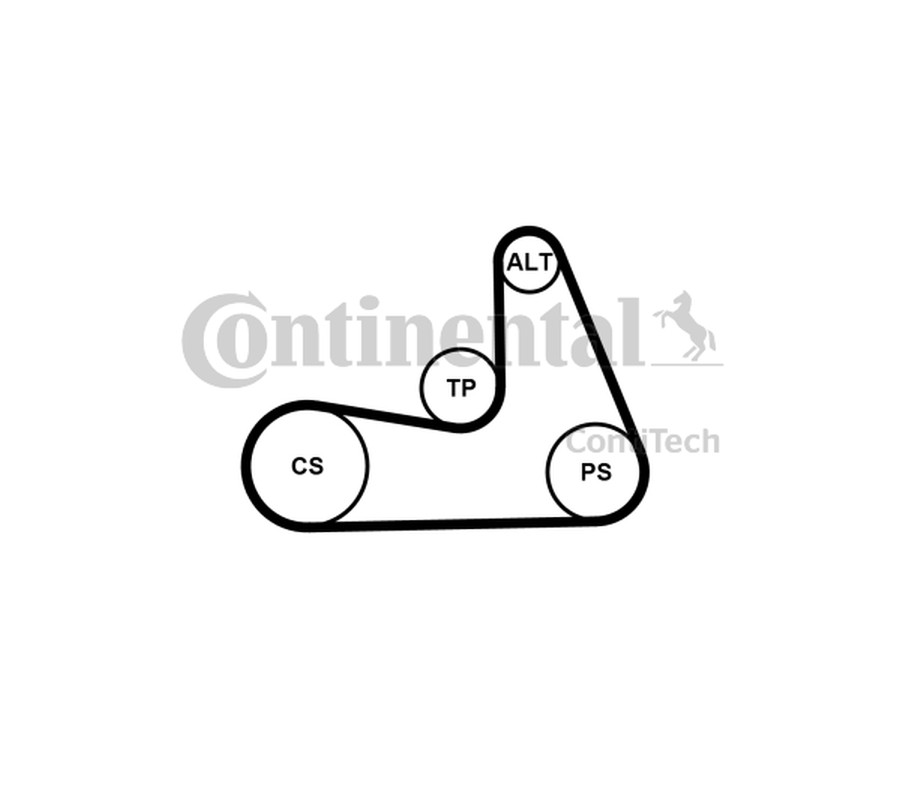 PASEK WIELOROWKOWY 5PK1121 EXTRA