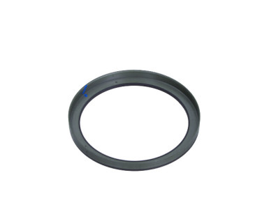 PIERŚCIEŃ ABS CITROEN T. BERLINGO/C4/C5/C6 96-