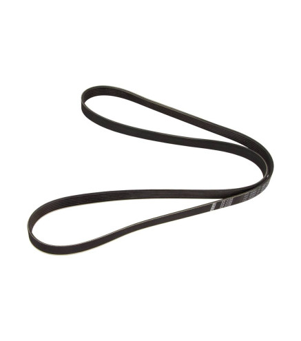 PASEK WIELOROWKOWY 6PK1590