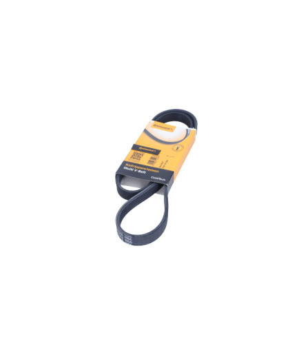 PASEK WIELOROWKOWY 5PK1145