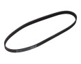 PASEK WIELOROWKOWY 6PK923