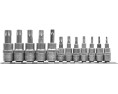 ZESTAW KLUCZY TORX NA SZYNIE 12CZ.