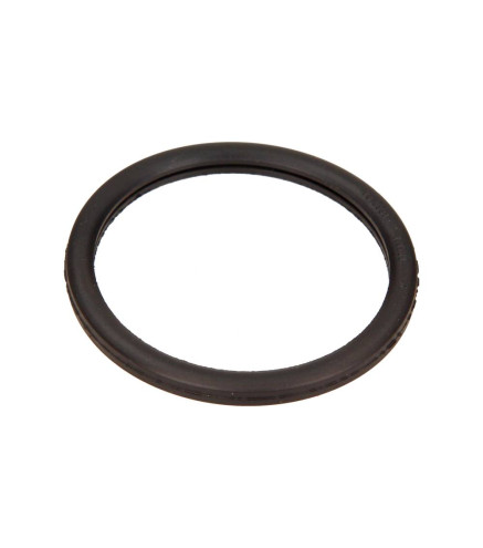 USZCZELKA TERMOSTATU RENAULT MEGANE 1,4 16V 00-