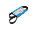 PASEK WIELOROWKOWY 6PK1160