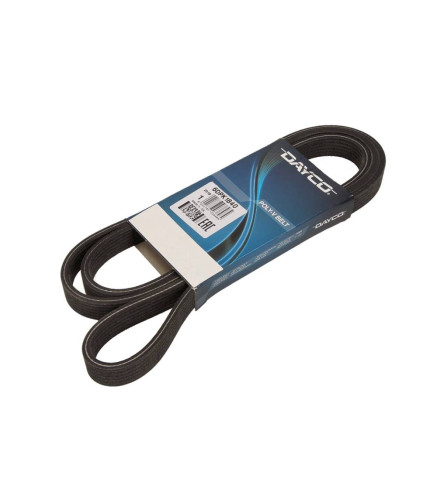 PASEK WIELOROWKOWY 6DPK1840