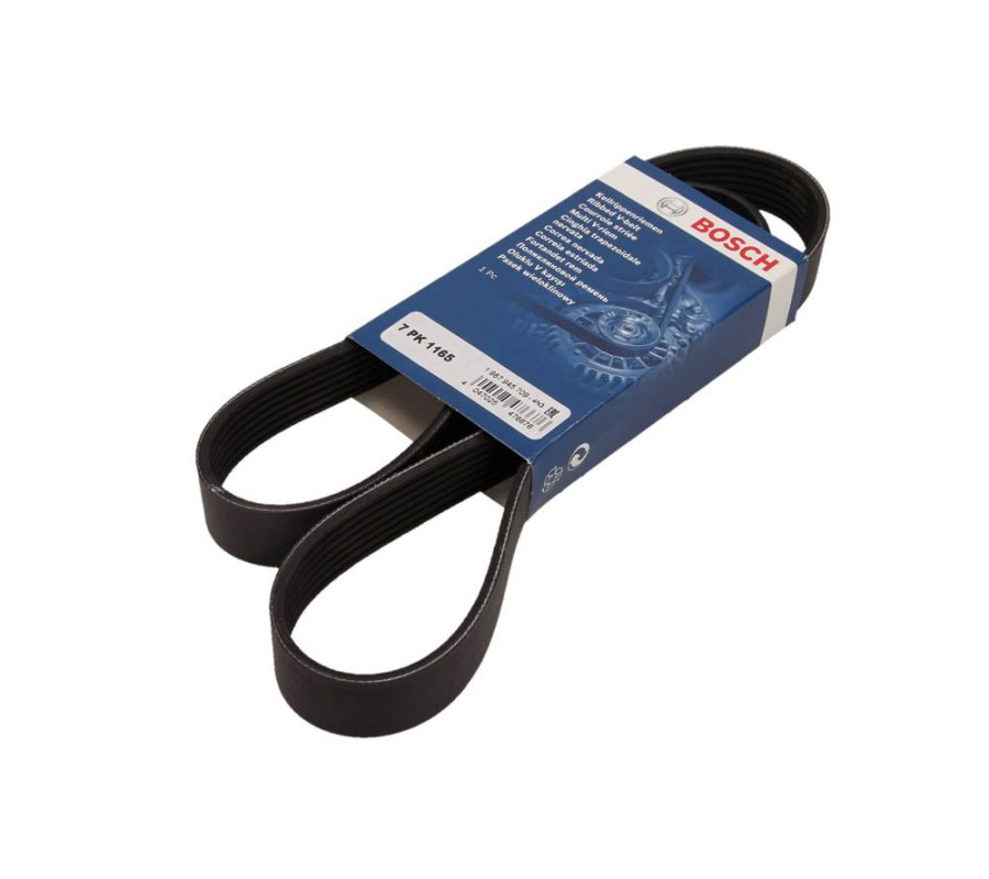 PASEK WIELOROWKOWY 7PK1165