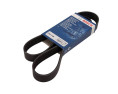 PASEK WIELOROWKOWY 7PK1165