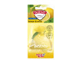 ZAPACH WORECZEK ZAPACHOWY 20G INSENTI LEMON MINT / MOJE AUTO
