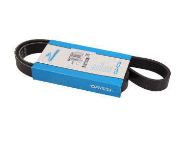 PASEK WIELOROWKOWY 6PK1004 BLUE HDI