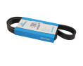 PASEK WIELOROWKOWY 6PK1004 BLUE HDI
