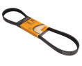 PASEK WIELOROWKOWY 6PK989ELAST