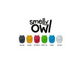 ZAPACH SMELLY OWL NEW CAR - ZAPACHOWA SOWA DO KRATKI NAWIEWU