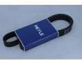 PASEK WIELOROWKOWY 8PK1226