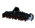 KOLEKTOR SS. VW GOLF 09-11, PASSAT 09-12 2,0 TDI