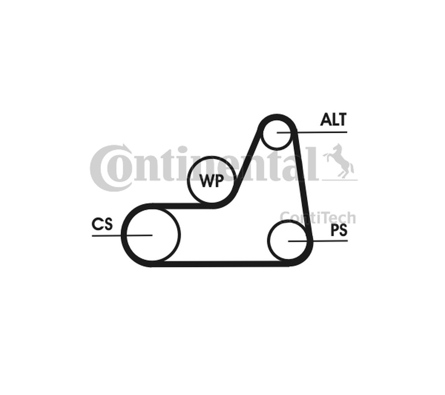 PASEK WIELOROWKOWY 6PK1042ELAST