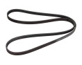 PASEK WIELOROWKOWY 5PK1588
