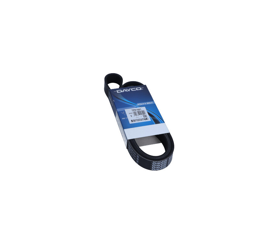 PASEK WIELOROWKOWY 7PK1601