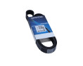 PASEK WIELOROWKOWY 7PK1601