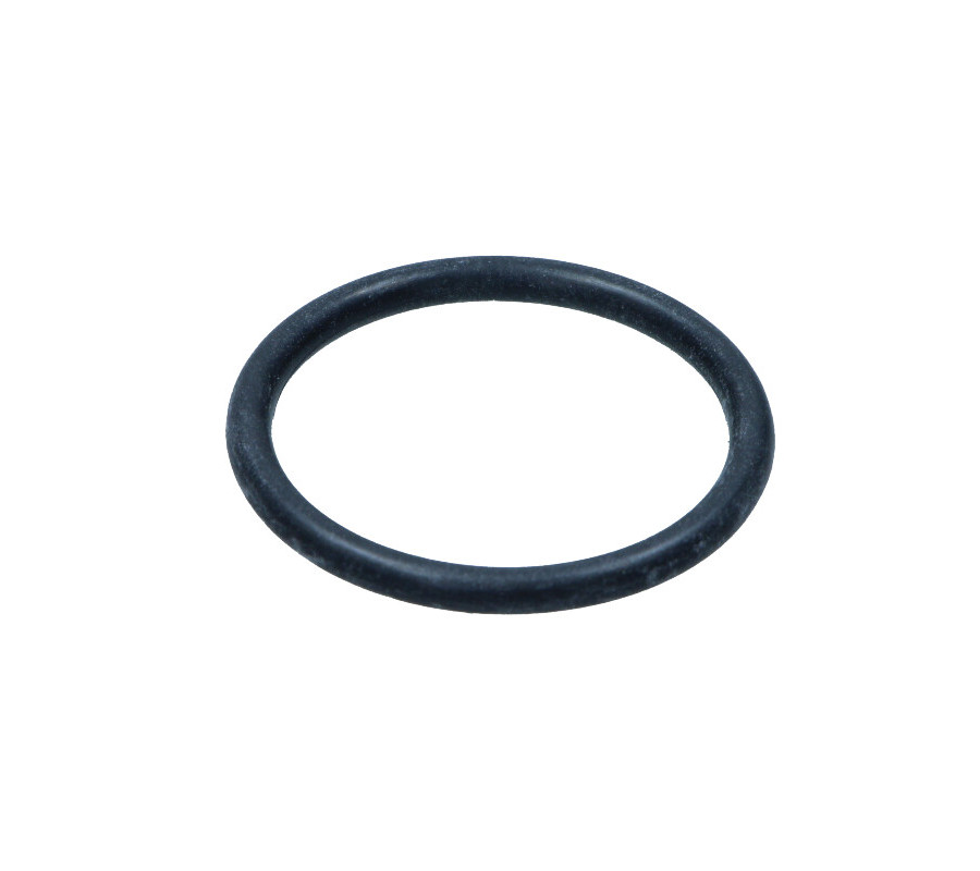 USZCZELKA TERMOSTATU CITROEN JUMPER III/ PEUGEOT BOXER III 2,2HDI