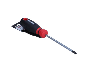 WKRĘTAK TORX SECUR. 30X100 MM
