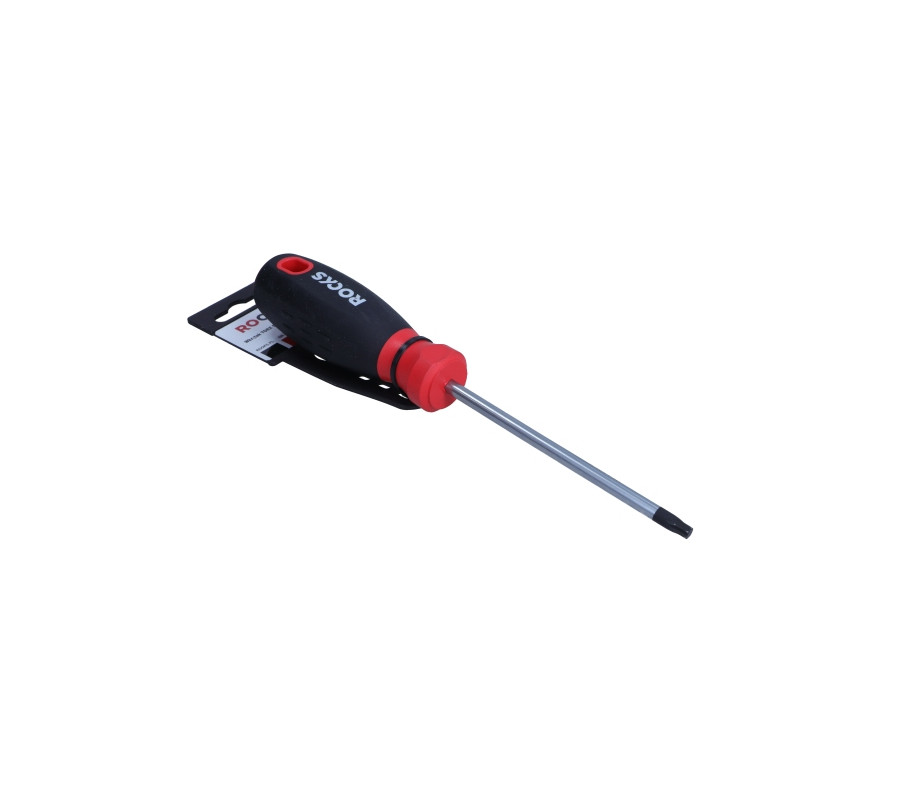 WKRĘTAK TORX SECUR. 30X100 MM