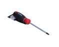 WKRĘTAK TORX SECUR. 30X100 MM