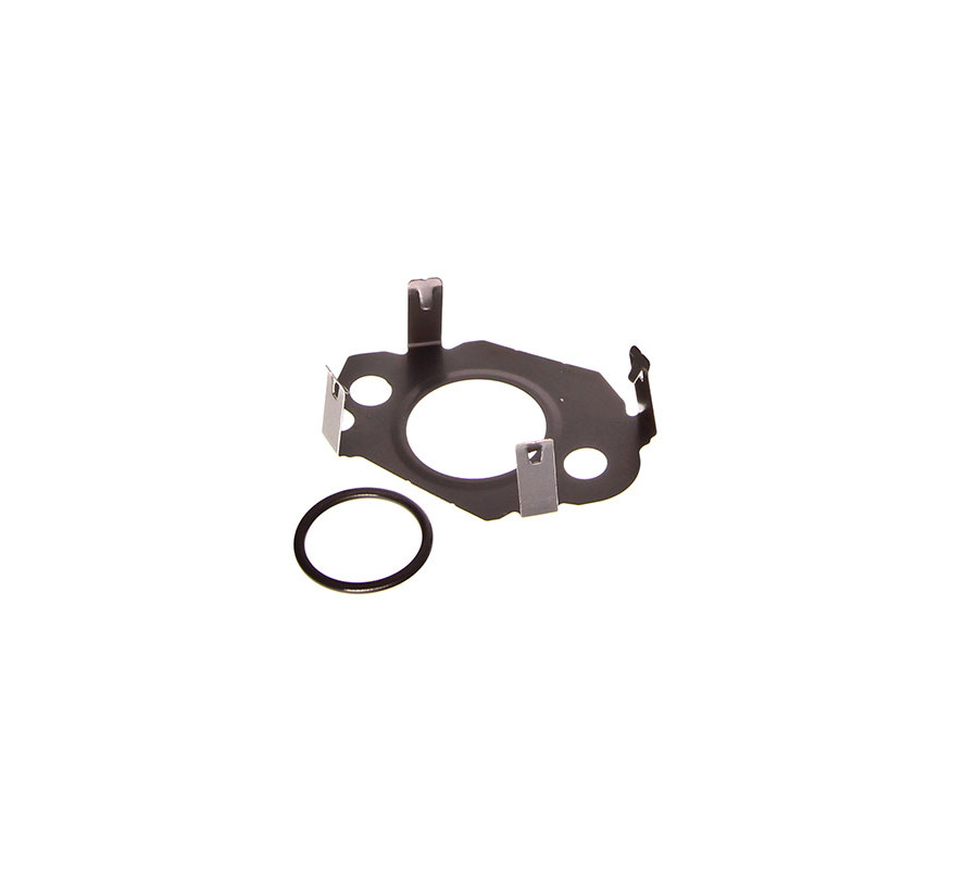 ZESTAW USZCZELEK PRZEWODU EGR CITROEN C4, C5, JUMPER 09-