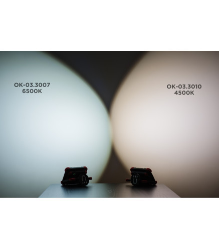 LAMPA WARSZTATOWA CENTRALNA 2W1, COB LED,  30W, 3000 LM