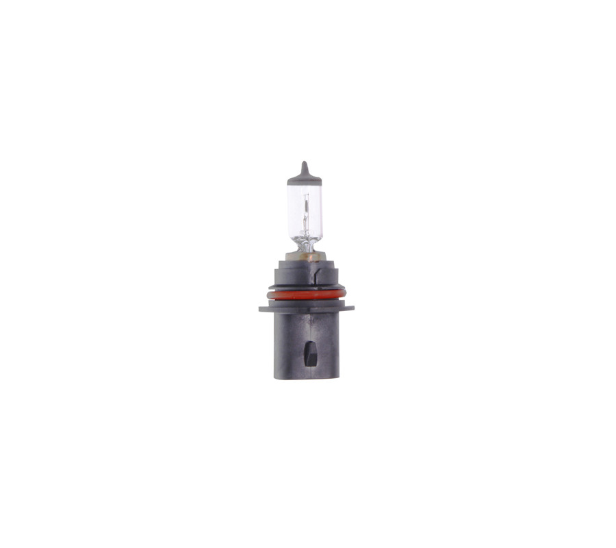 ŻARÓWKA HB5 12V/65/55W PX29T