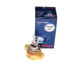 ŻARÓWKA PURE LIGHTS WS PS19W