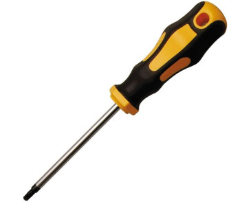 WKRĘTAK TORX T25
