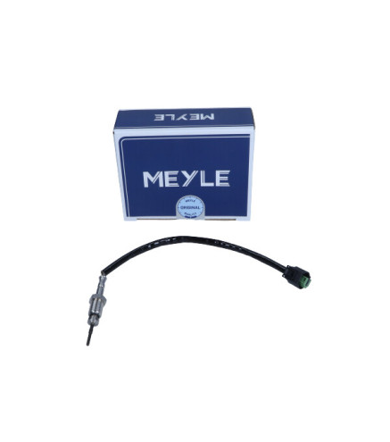 CZUJNIK TEMP. SPALIN BMW 3 E90 3,0 06-