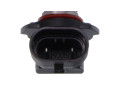 ŻARÓWKA HB3 12V/60W P20D +30%
