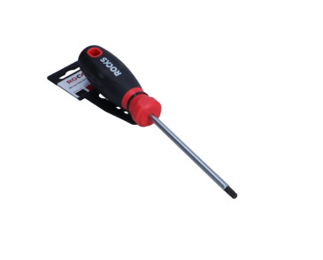 WKRĘTAK TORX SECUR. 27X100 MM