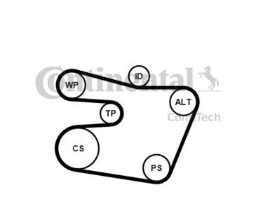 ZESTAW PASKA WIELOROWK. BMW E46 2,0-3,0