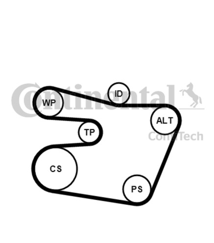 ZESTAW PASKA WIELOROWK. BMW E46 2,0-3,0