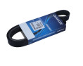 PASEK WIELOROWKOWY 7PK1557S