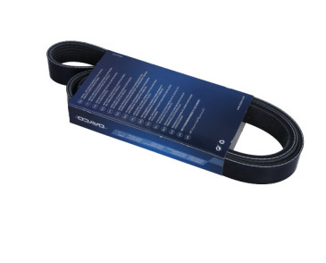 PASEK WIELOROWKOWY 7PK1557S