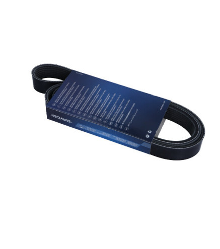 PASEK WIELOROWKOWY 7PK1557S