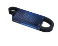 PASEK WIELOROWKOWY 7PK1557S